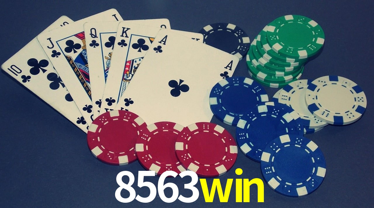 Game Providers 8563win